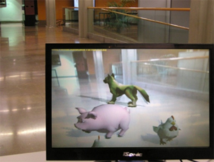 magic window ecoology